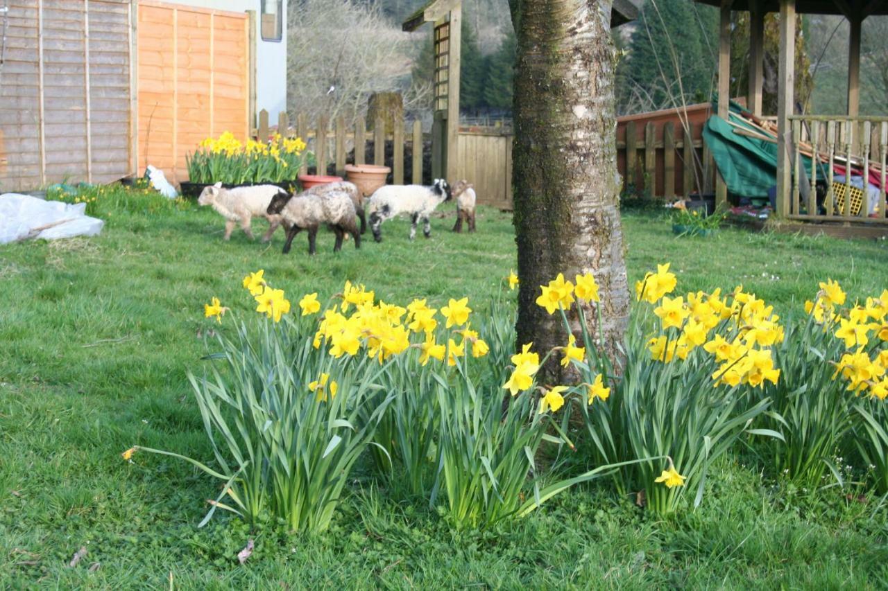 Barn Cottage - Farm Park Stay With Hot Tub Swansea Exterior foto